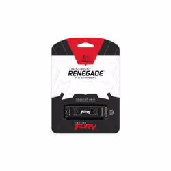 Kingston Technology 1000G FURY RENEGADE M.2 2280 NVMe SSD - Additional view 5