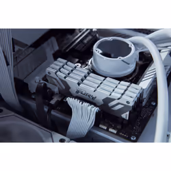 Kingston Technology FURY 16GB 8000MT/s DDR5 CL38 DIMM Renegade White XMP - Additional view 8