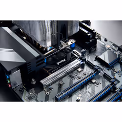 Kingston Technology 8T FURY RENEGADE G5 M.2 2280 NVMe SSD - Additional view 8