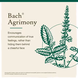 Bach Original Flower Remedies  Agrimony for Open Communication  Natural Homeopathic Flower Essence  Holistic Wellness and Stress Relief  Vegan  20mL D