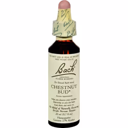 Bach Flower Cherry Plum