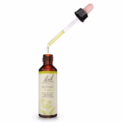 Bach  Bach Original Flower Remedies Mustard  0.68 Fl Oz