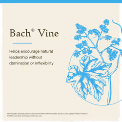 Bach Original Flower Remedies  Vine for Motivation  Natural Homeopathic Flower Essence  Holiday Gift for Him or Her  Vegan  20mL Dropper