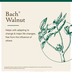 Bach Original Flower Remedies  Walnut for Adapting to Change  Natural Homeopathic Flower Essence  Holistic Wellness and Stress Relief  Vegan  20mL Dro