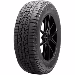 NEXEN SB802 All-Season Radial Tire - 165/80R15 87T