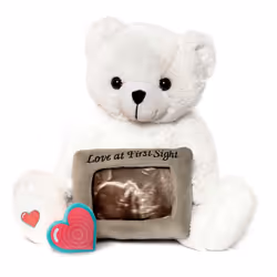 My Baby's Heartbeat Bear Recordable Stuffed Animals 20 sec Heart Voice Recorder for Ultrasounds and Sweet Messages Playback, ...