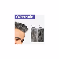 JUST FOR MEN Touch of Gray Hair Treatment T-45 Dark Brown  6 Count (Pack of 1)