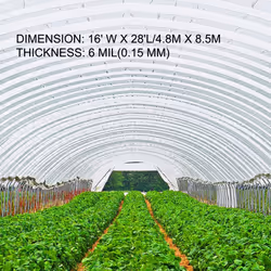 VEVOR 16 x 28 ft Greenhouse Plastic Sheeting  6 Mil Thickness UV Resistant Clear Polyethylene Film  Hoop Green House Cover for Farms  Agriculture  Gar