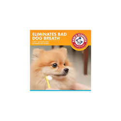 Arm & Hammer Fresh Breath Enzymatic Toothpaste for Dogs, Chicken 67.5 g (Pack of 1)