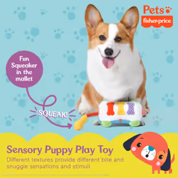 Fisher-Price for Pets Sound-Bites Plush Toy Xylophone for Puppies  Sounds Desensitize Pups to Noises - Noise-making Chew Toy for Puppies - Multifuncti