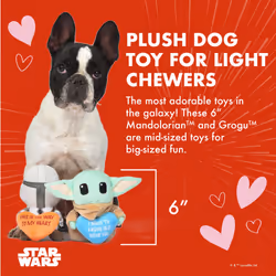Star Wars Dog Toys Mandalorian 2pc Plush Squeakers| 6  Mandalorian & Grogu Plush Squeakers Collection Pet Toys | Star Wars Toy for Dogs Baby Yoda & Ma