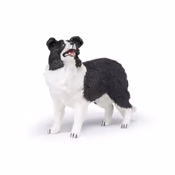 Papo - Hand-Painted - Figurine - Dogs ans Cats - Border Collie Figure-54008 - Collectible - for Children - Suitable for Boys and Girls - from 3 Years