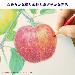60 Color Pencil Set Van Gogh (Metal Cased) (Japan Import)