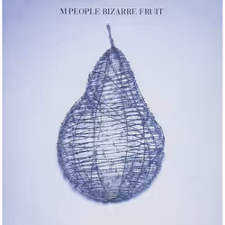 Bizarre Fruit