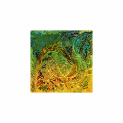 Jacquard Products Silk Colors Dyes  2-Ounce  Night Blue