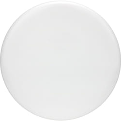 Discraft All White  Understamped ESP Zone 170-172 Gram Putt and Appraoch Golf Disc