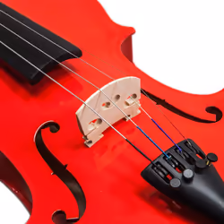 SKY Full Size VN202 Solidwood Red Violin Beautiful Craftsmanship with Brazilwood Bow and Lightweight Case