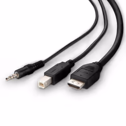 Belkin F1DN1CCBL-DH-10 KVM cable Black 3 m