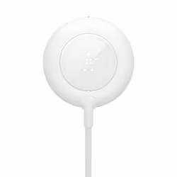 Belkin BOOST↑CHARGE Smartphone White Wireless charging Indoor