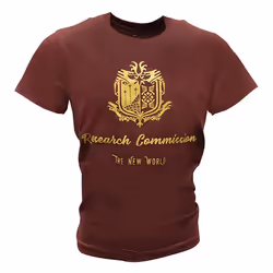 Numskull Games 0747180372854, T-shirt, Adult, Male, Brown, Gold, Image, XL