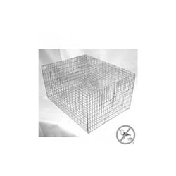 Sparrow Trap With Two Chambers - 8 x 12 x 16 in.