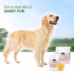 Premium Salmon Oil for Dogs & Cats, 200 Tablets - 100% Natural Norwegian Fish Oil Supplement With Omega 3, 6 & EPA, DHA