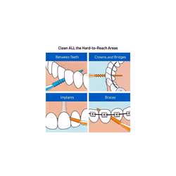 TEPE EasyPick Dental Picks for Daily Oral Hygiene and Healthy teeth and gums / Size M/L / 1 x36 Picks