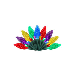Celebrations  25 ft. Platinum LED C6 String Christmas Lights, Multi Color - 50 Count