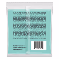 Ernie Ball P02850 musical instrument strings Bass 5 pc(s) Steel Guitar
