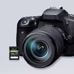 PNY EliteX-PRO60 256 GB SDXC UHS-II Class 10 - Additional view 3