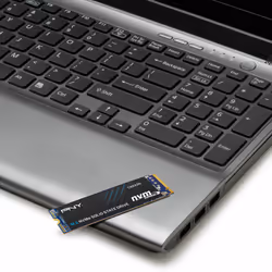 PNY CS2230 1 TB M.2 PCI Express 3.0 NVMe 3D NAND - Additional view 6