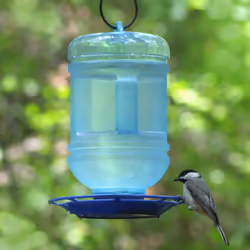 Perky-Pet 780 Water Cooler Bird Waterer , Blue , 1.5 Qt Capacity