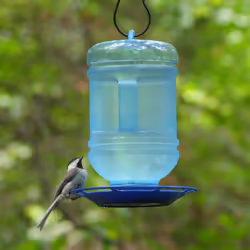 Perky-Pet 780 Water Cooler Bird Waterer , Blue , 1.5 Qt Capacity