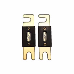 100 Amp Fuse 2 Pack - Gold Plated