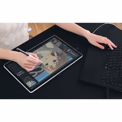 Wacom One 14 graphic tablet Black, White 2540 lpi 309 x 174 mm USB - Additional view 6