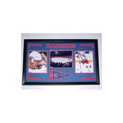 Encore Brandz 162-46   York - Hockey 2007 - 2011 18x30 Frame