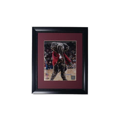 Encore Brandz 753466167670 Alabama Crimson Tide Mascot 11x14 Frame