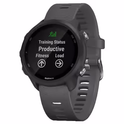 Garmin 010-02120-10, 3.05 cm (1.2"), MIP, Touchscreen, GPS (satellite), 38.5 g