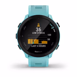 Garmin Forerunner 55 2.64 cm (1.04") MIP 42 mm Digital 208 x 208 pixels GPS (satellite) - Additional view 6