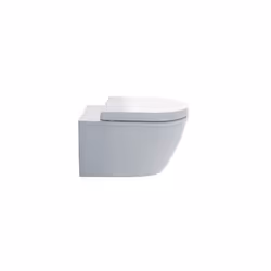 Duravit 0069890000 Toilet seat with Soft Close Hinges, Stainless Steel/White