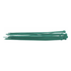 Brady 145588 cable tie Parallel entry cable tie Nylon Green 10 pc(s)