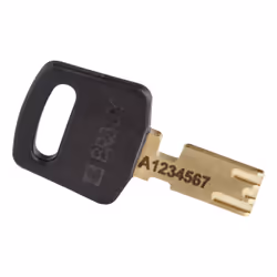 Brady SafeKey Conventional padlock 6 pc(s)