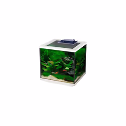 Interpet Aqua Cube Glass Fish Tank Aquarium with Integrated LED Lighting and Easy Care Filter, 28L, Clear/White