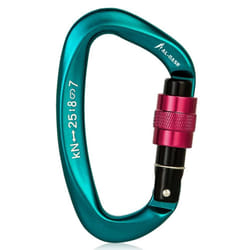 25KN Carabiner Screw Locking Gate Carabiner Heavy Duty D-shape Latch Hook - dark green