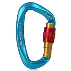 25KN Carabiner Screw Locking Gate Carabiner Heavy Duty D-shape Latch Hook - blue