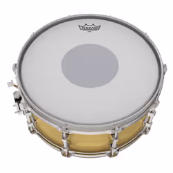 Remo Batter  CONTROLLED SOUND  Coated  13"" Diameter  BLACK DOT(TM) On