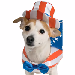 Rubie's Uncle Sam Pet Costume  Medium