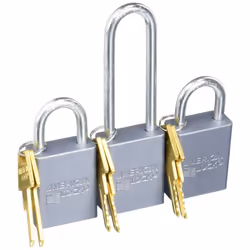 Roadmaster 303 Coupler Padlock Set Color may vary