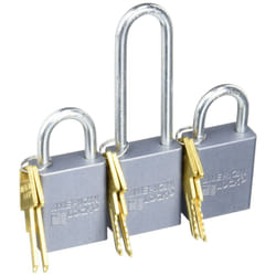 Roadmaster 303 Coupler Padlock Set  Color may vary