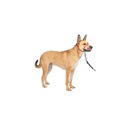 PetSafe Gentle Leader Headcollar, No-Pull Dog Collar â Perfect for Leash & Harness Training â Stops Pets from Pulling and Choking on Walks â